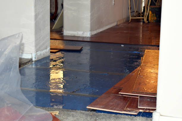 Professional Basement Flood Cleanup technician working in Natural Bridge, AL